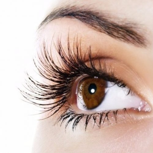 Eyelash Extension Main Images